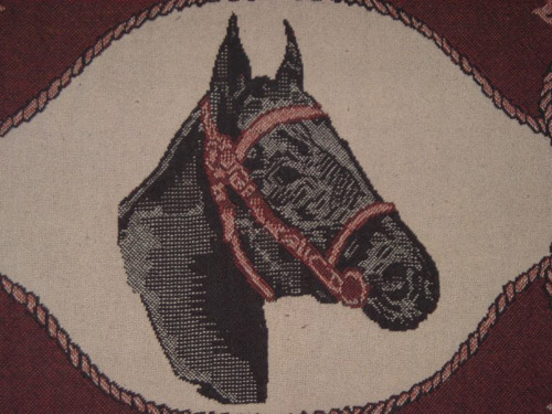 horse-blanket